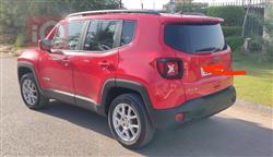 جيب رينيجيد